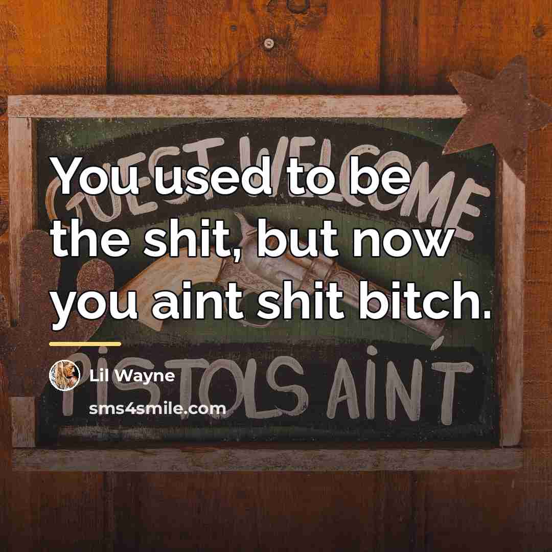 “You used to be the shit, but now you aint…” quote by Lil Wayne