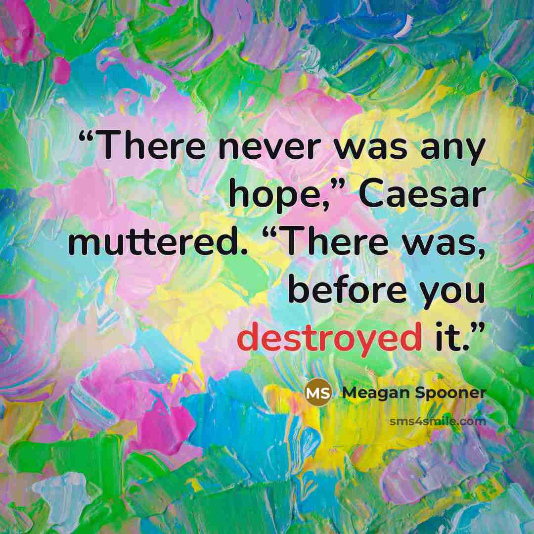 “There never was any hope,” Caesar muttered. “There was, before you destroyed it.” quote by Meagan Spooner