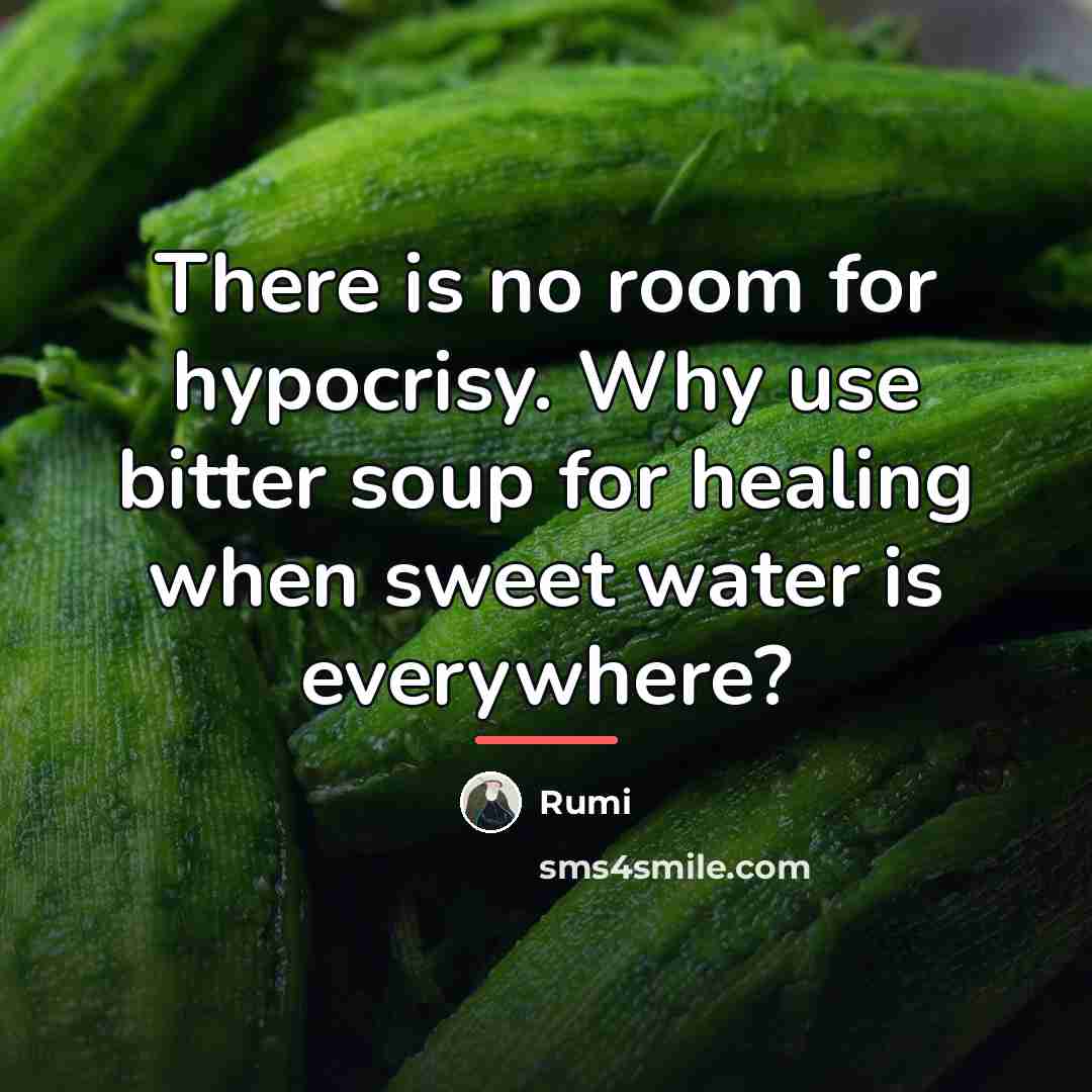 “There is no room for hypocrisy. Why use bitter soup…” quote by Rumi