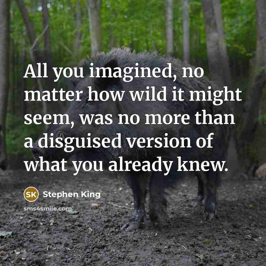 “All you imagined, no matter how wild it might seem, was no more than a disguised version of what you already knew.” quote by Stephen King