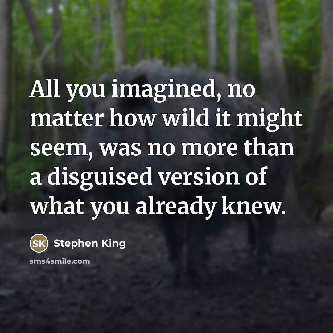 “All you imagined, no matter how wild it might seem,…” quote by Stephen King