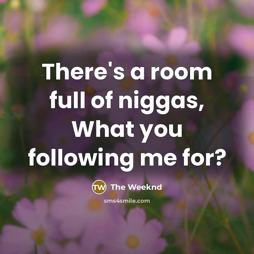 “There's a room full of niggas, What you following me for?” quote by The Weeknd