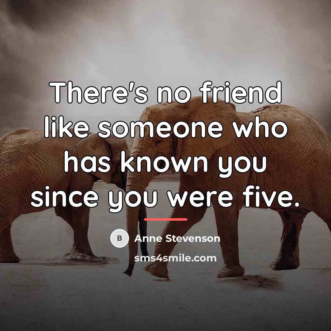 “There's no friend like someone who has known you since…” quote by Anne Stevenson