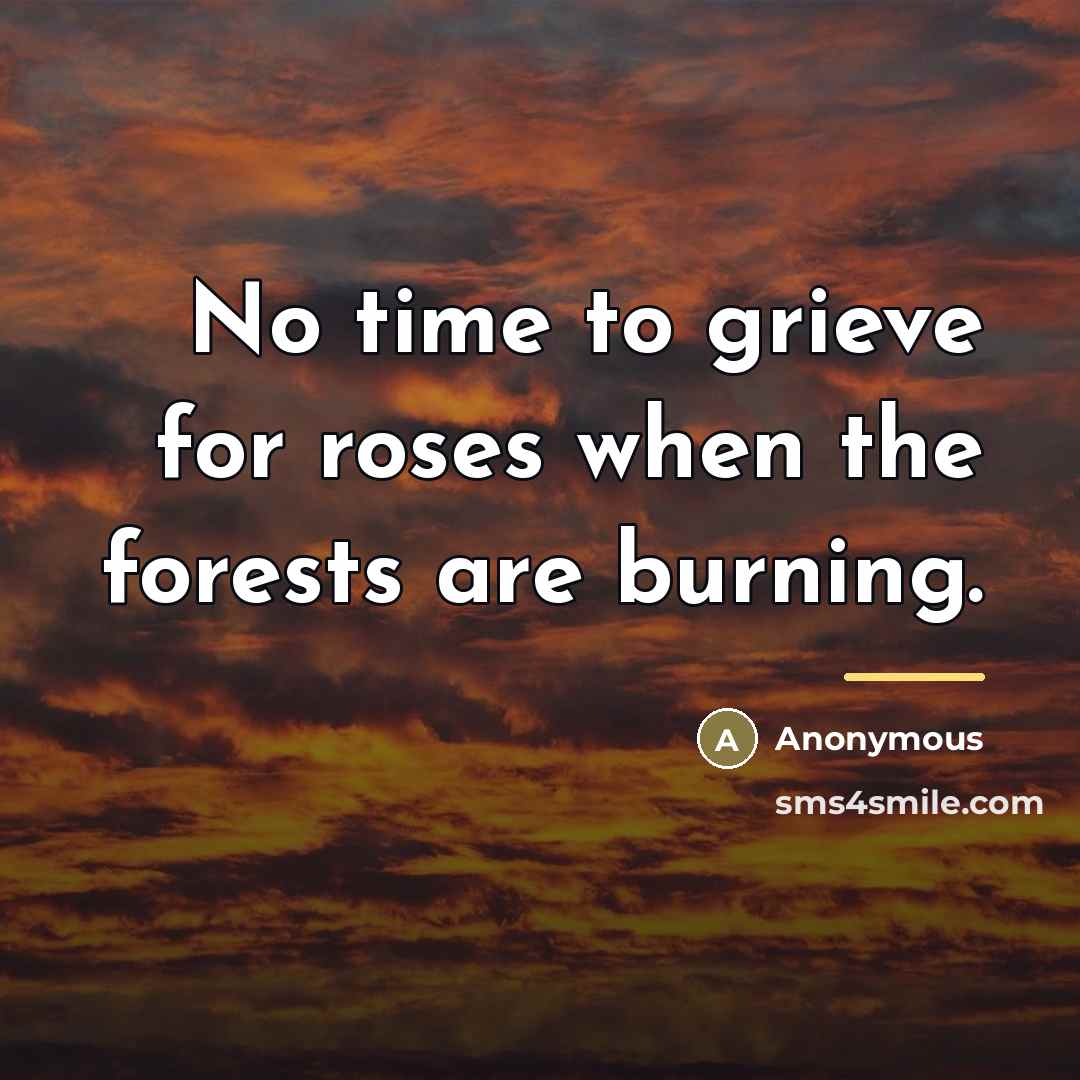 “No time to grieve for roses when the forests are…” quote by Anonymous