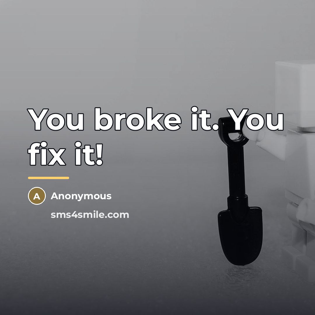 “You broke it. You fix it!…” quote by Anonymous