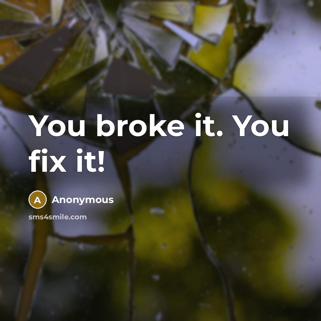“You broke it. You fix it!” quote by Anonymous