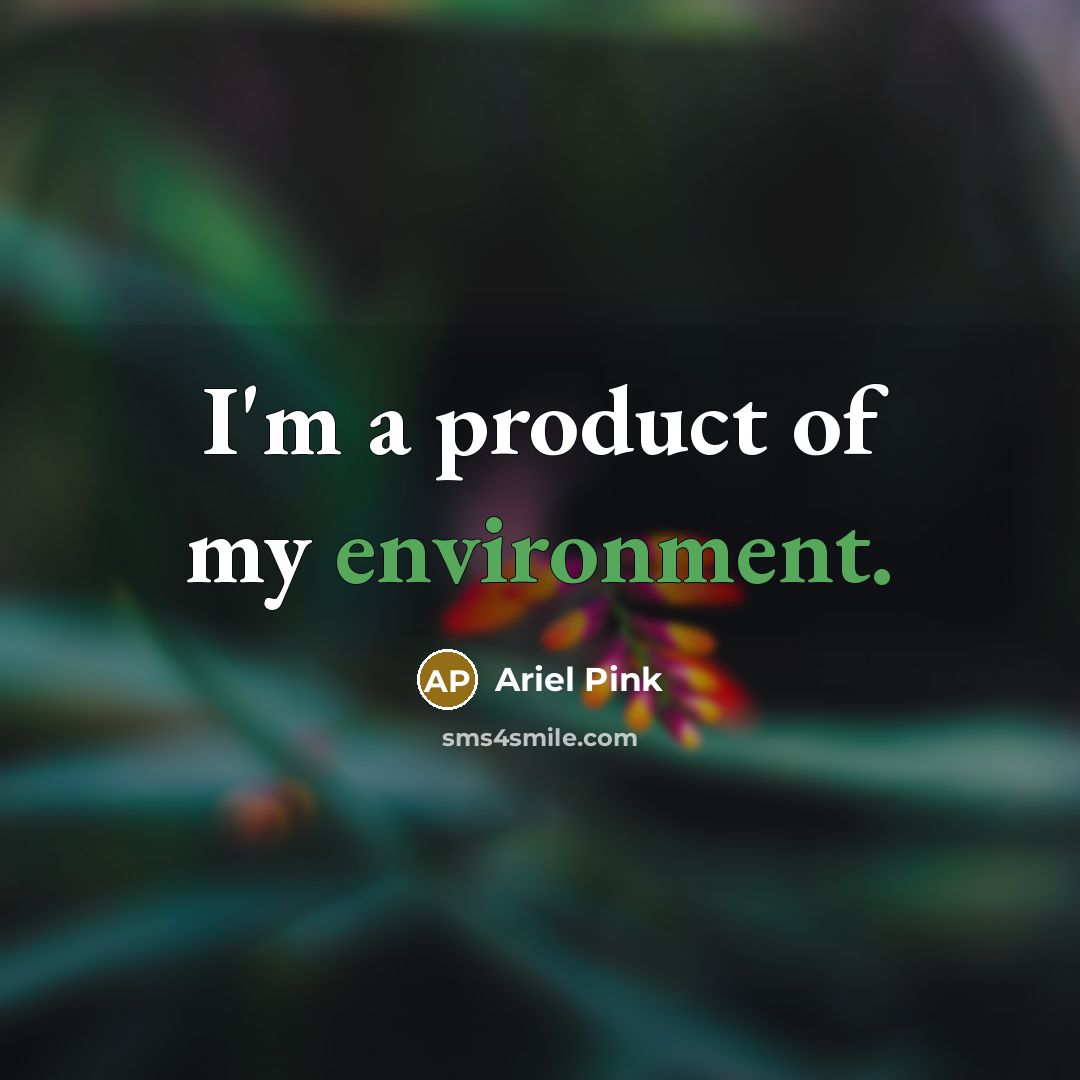 “I'm a product of my environment.…” quote by Ariel Pink
