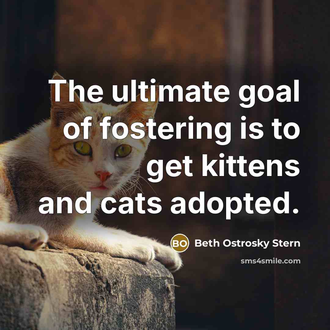 “The ultimate goal of fostering is to get kittens and…” quote by Beth Ostrosky Stern
