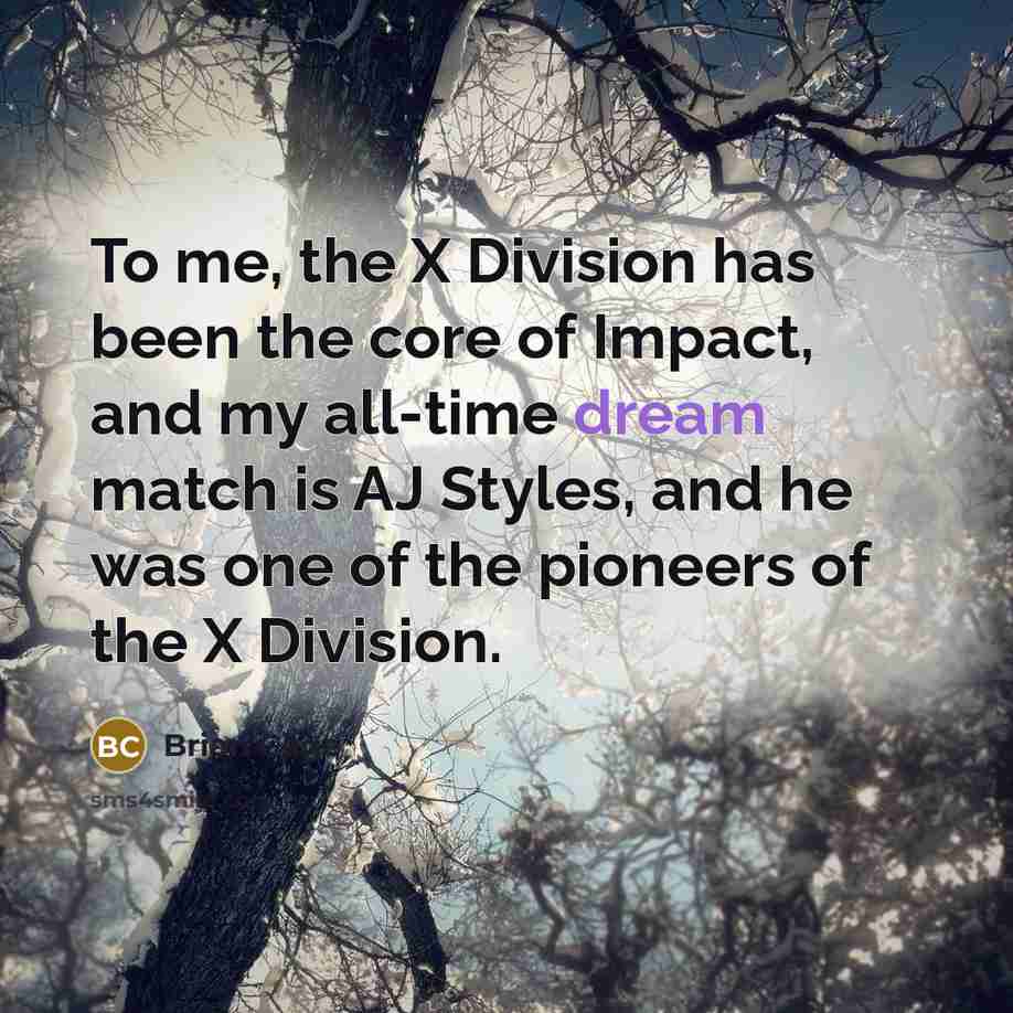 “To me, the X Division has been the core of…” quote by Brian Cage