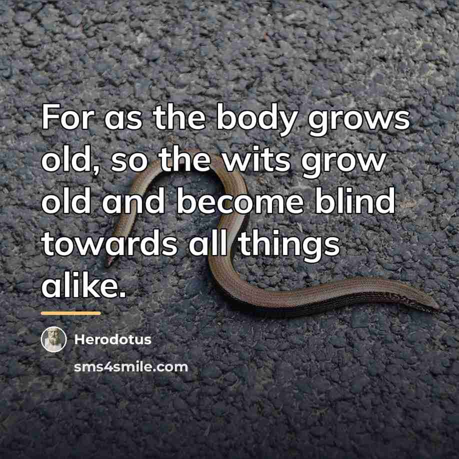 “For as the body grows old, so the wits grow…” quote by Herodotus