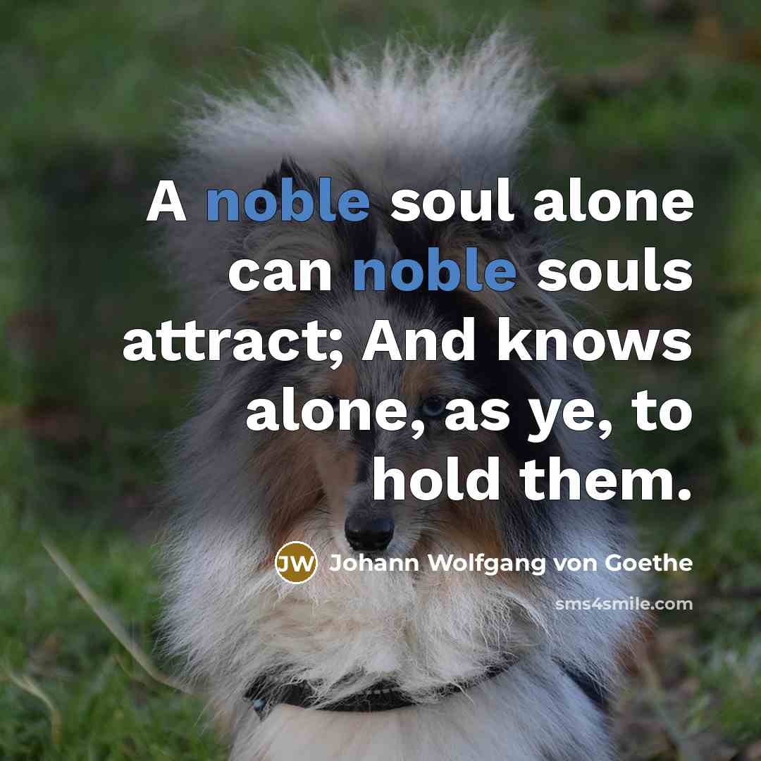 “A noble soul alone can noble souls attract; And knows…” quote by Johann Wolfgang von Goethe