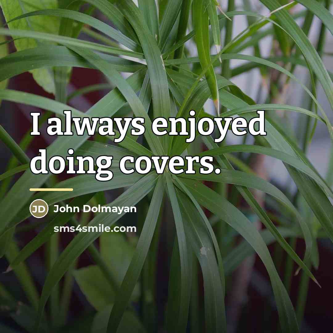 “I always enjoyed doing covers.…” quote by John Dolmayan