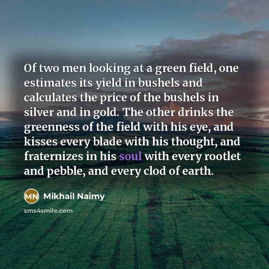 “Of two men looking at a green field, one estimates…” quote by Mikhail Naimy