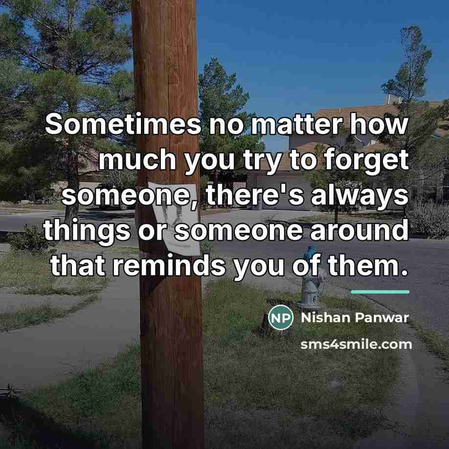 “Sometimes no matter how much you try to forget someone,…” quote by Nishan Panwar