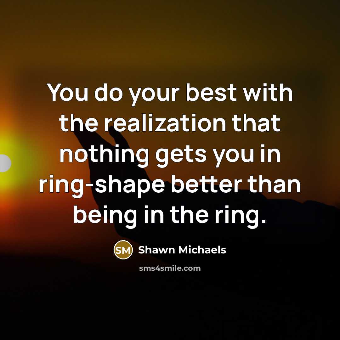 “You do your best with the realization that nothing gets…” quote by Shawn Michaels