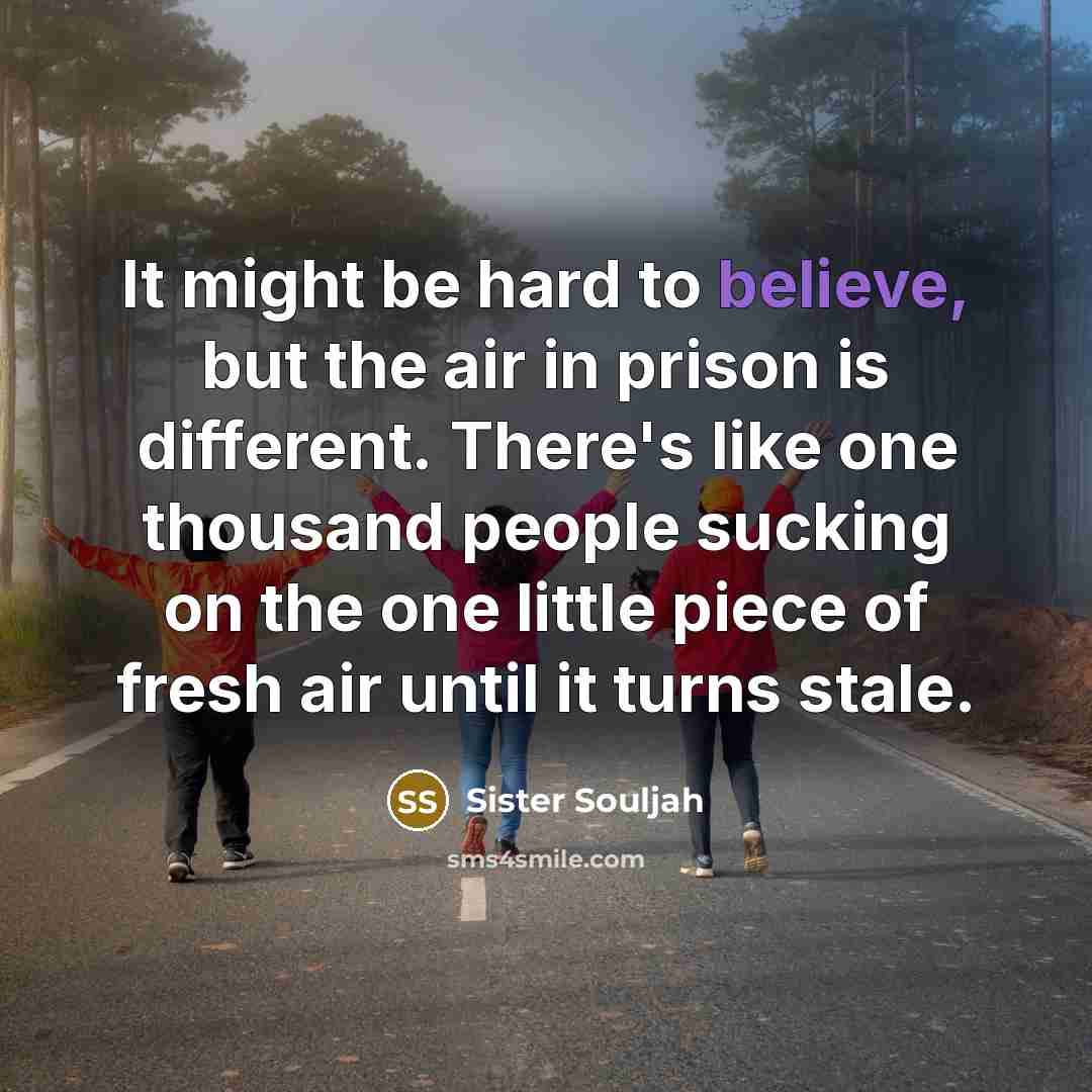 “It might be hard to believe, but the air in…” quote by Sister Souljah