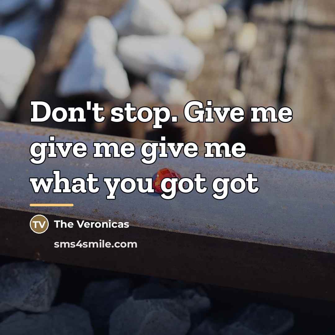 “Don't stop. Give me give me give me what you…” quote by The Veronicas