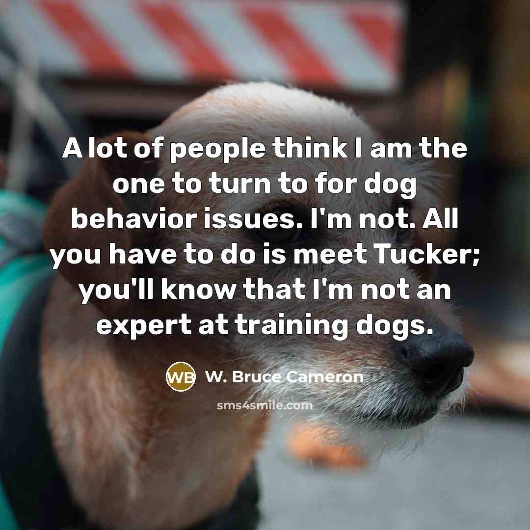 “A lot of people think I am the one to…” quote by W. Bruce Cameron