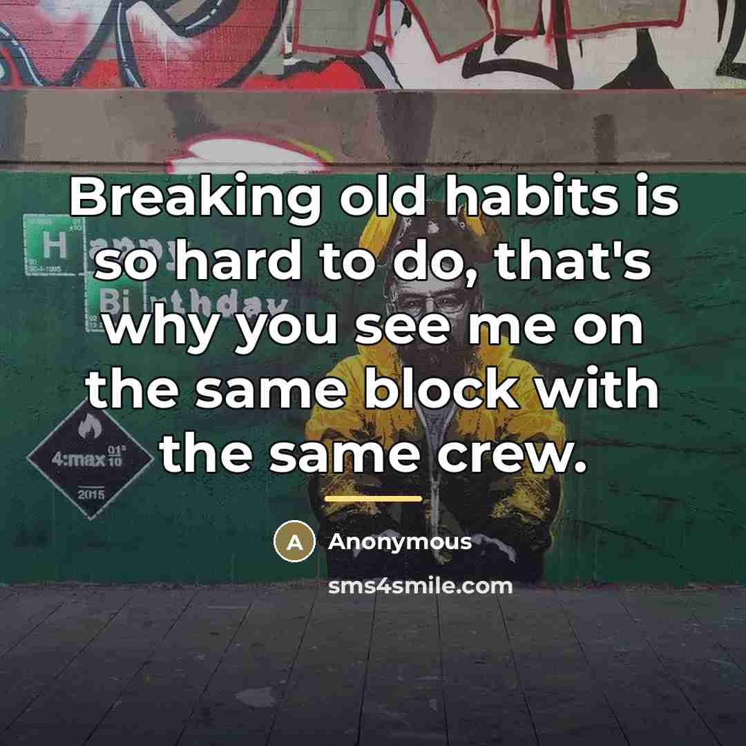 “Breaking old habits is so hard to do, that's why…” quote by Anonymous