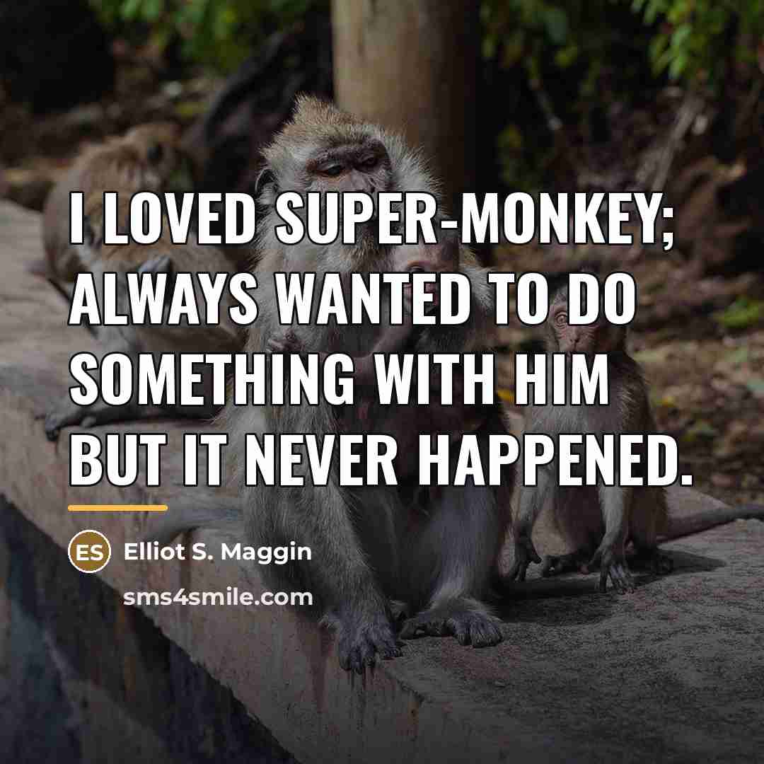 “I loved Super-Monkey; always wanted to do something with him…” quote by Elliot S. Maggin