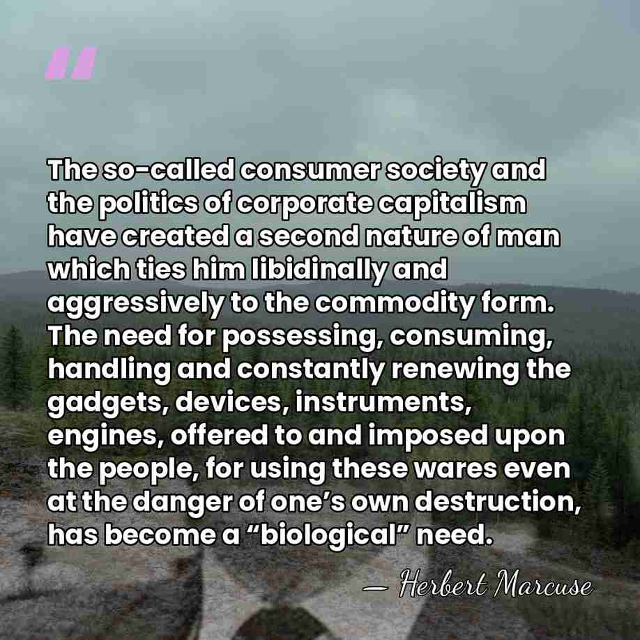 The so-called consumer society and the politics of corporate capitalism have created&hellip; - Herbert Marcuse
