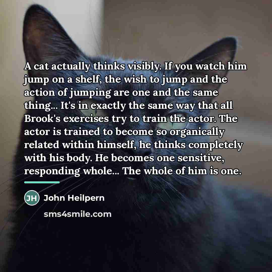 “A cat actually thinks visibly. If you watch him jump…” quote by John Heilpern