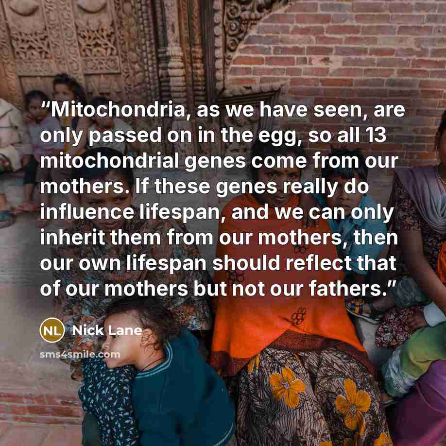 “Mitochondria, as we have seen, are only passed on in the egg, so all 13 mitochondrial genes come from our mothers. If these genes really do influence lifespan, and we can only inherit them from our mothers, then our own lifespan should reflect that of our mothers but not our fathers.” quote by Nick Lane