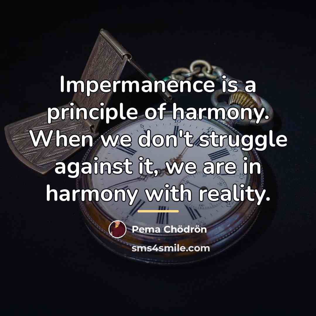 “Impermanence is a principle of harmony. When we don't struggle…” quote by Pema Chodron