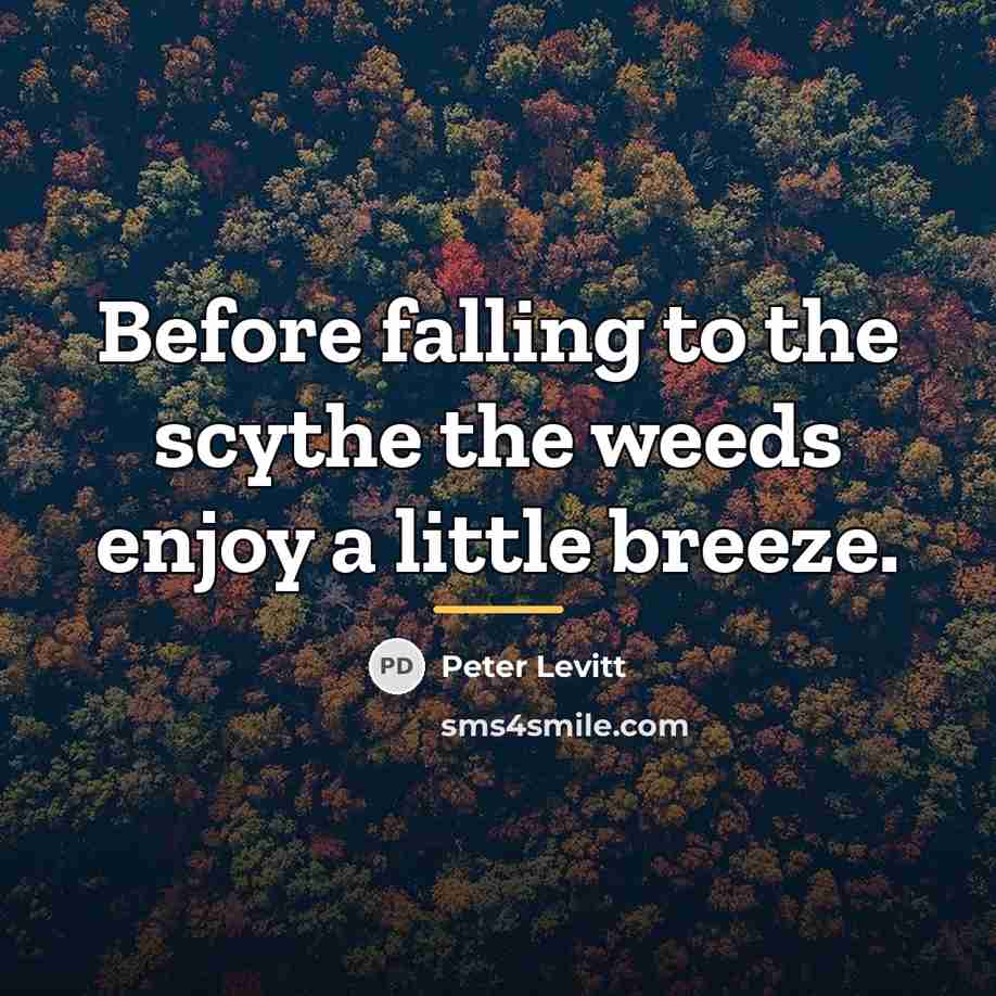 “Before falling to the scythe the weeds enjoy a little…” quote by Peter Levitt