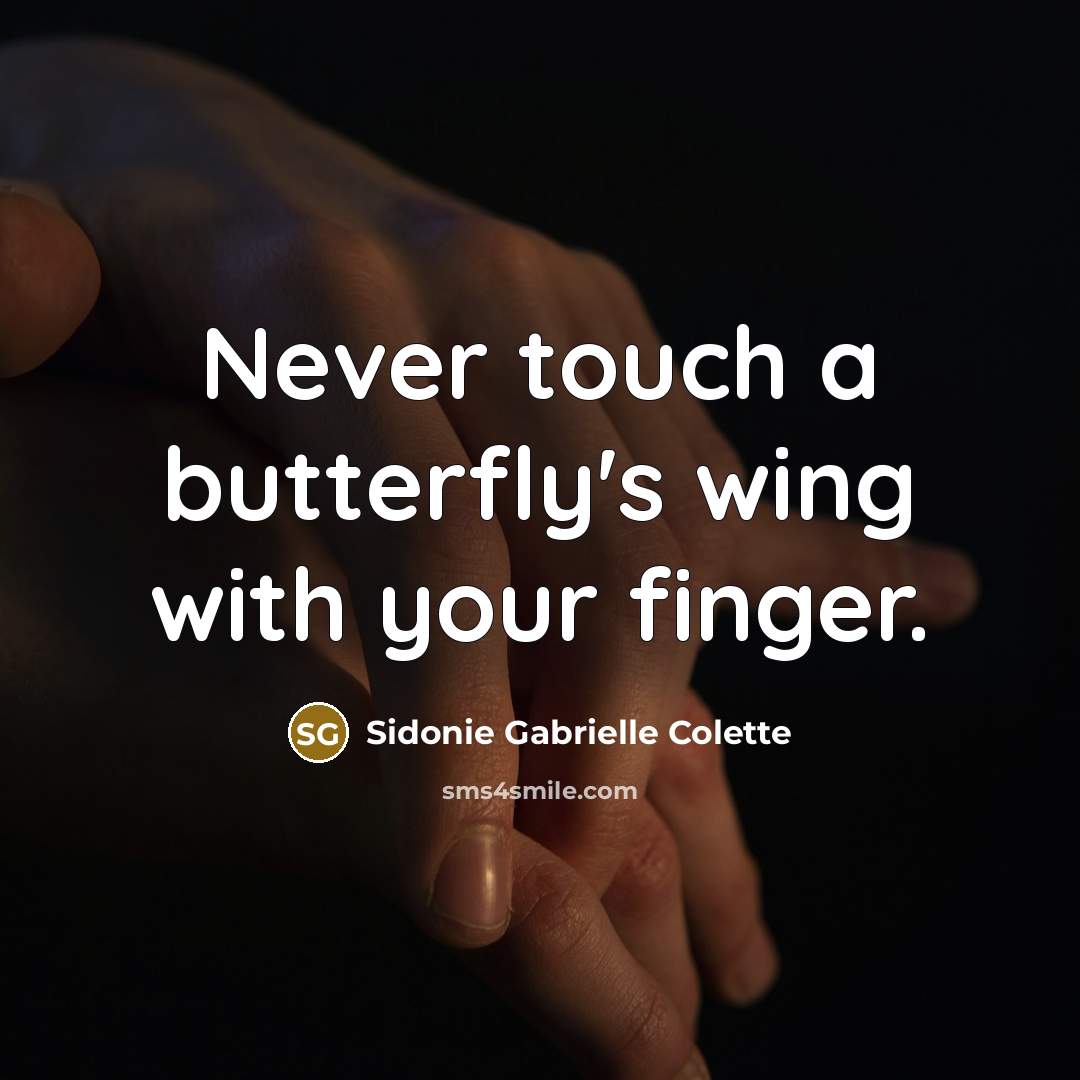 “Never touch a butterfly's wing with your finger.…” quote by Sidonie Gabrielle Colette