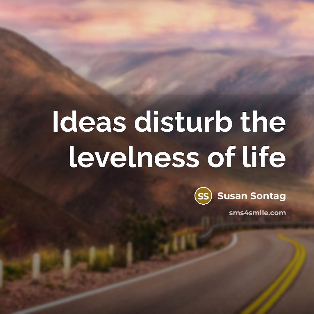 “Ideas disturb the levelness of life…” quote by Susan Sontag