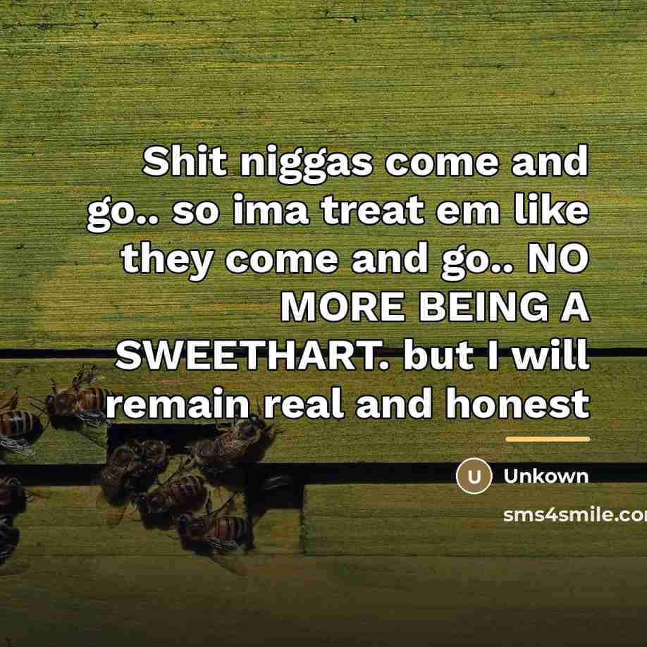 “Shit niggas come and go.. so ima treat em like…” quote by Unkown