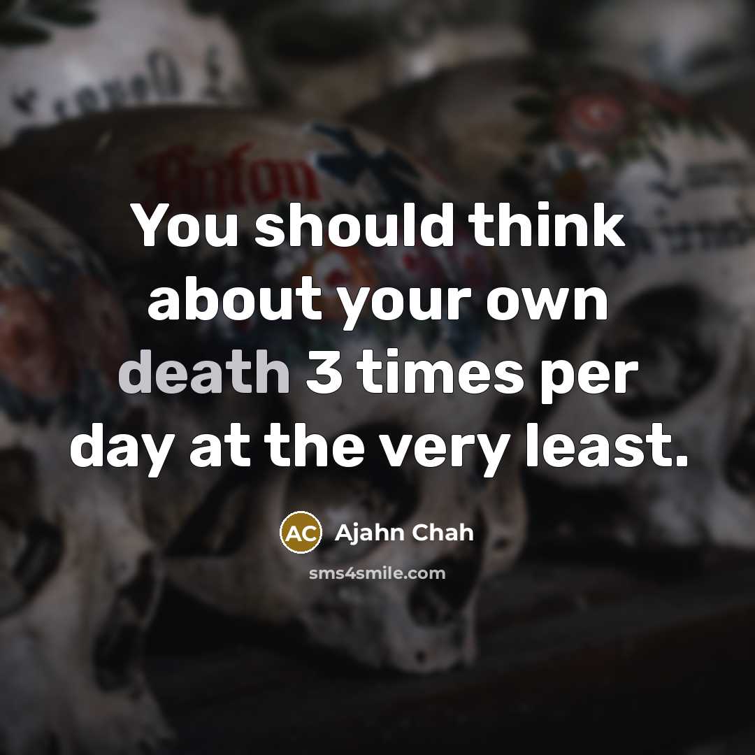 “You should think about your own death 3 times per…” quote by Ajahn Chah