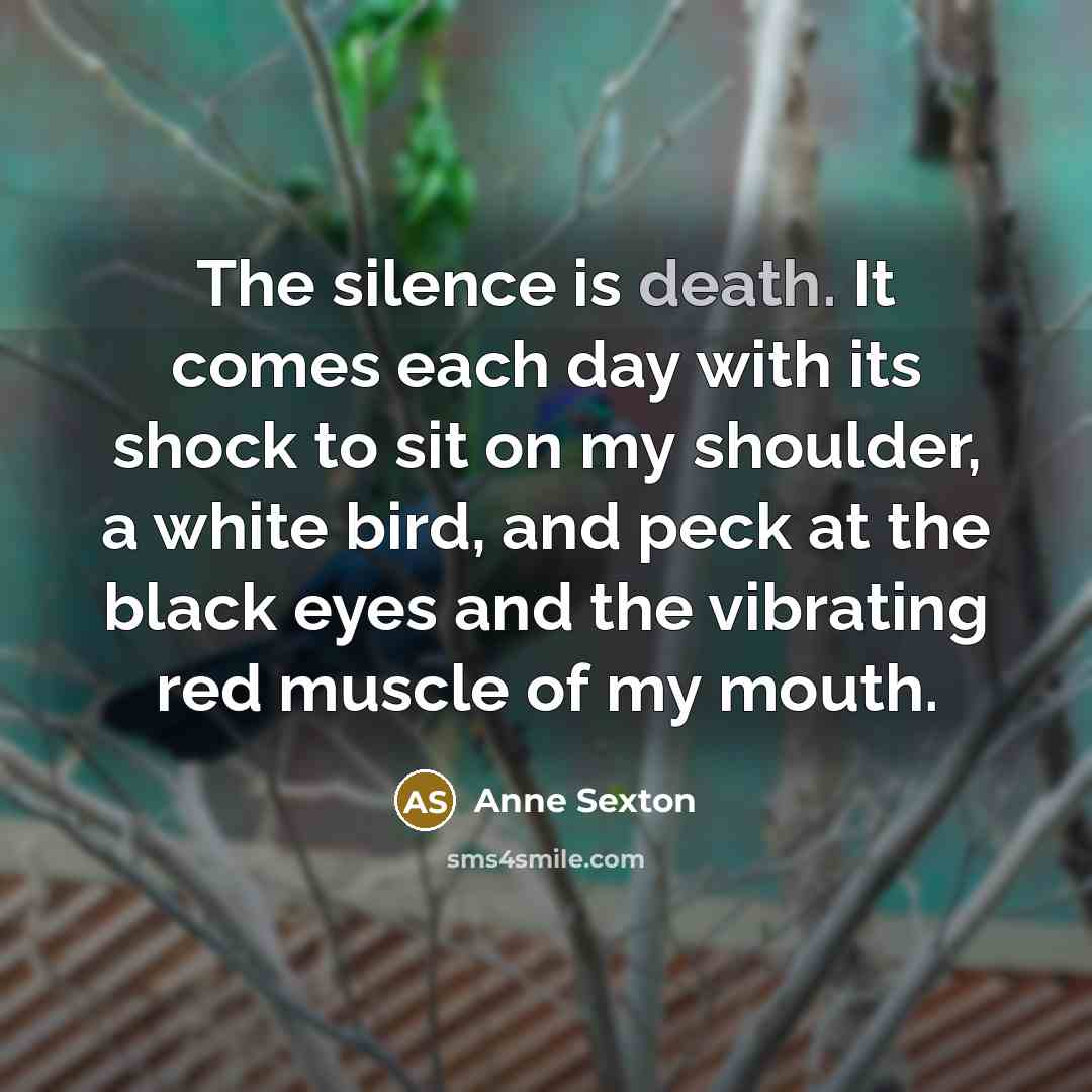 “The silence is death. It comes each day with its…” quote by Anne Sexton