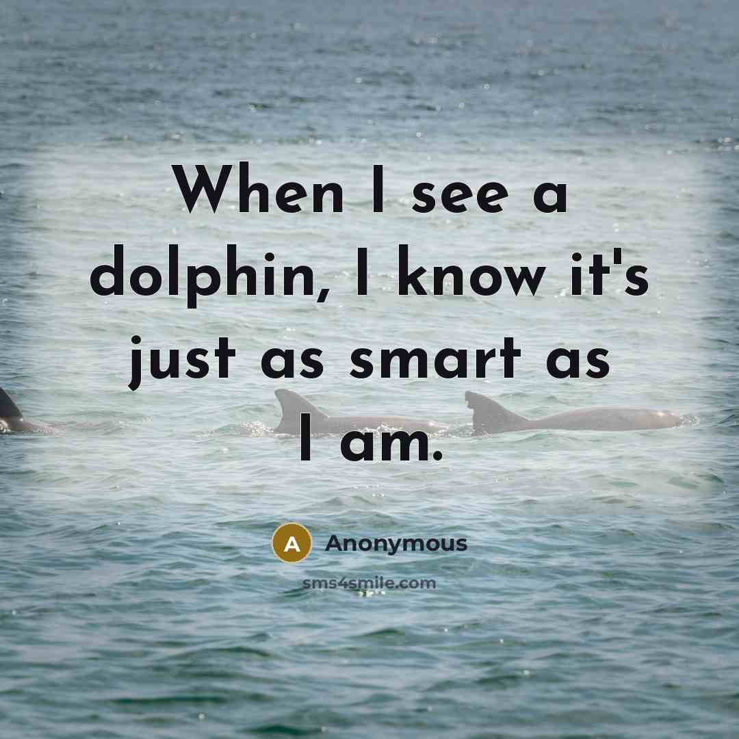“When I see a dolphin, I know it's just as smart as I am.” quote by Anonymous