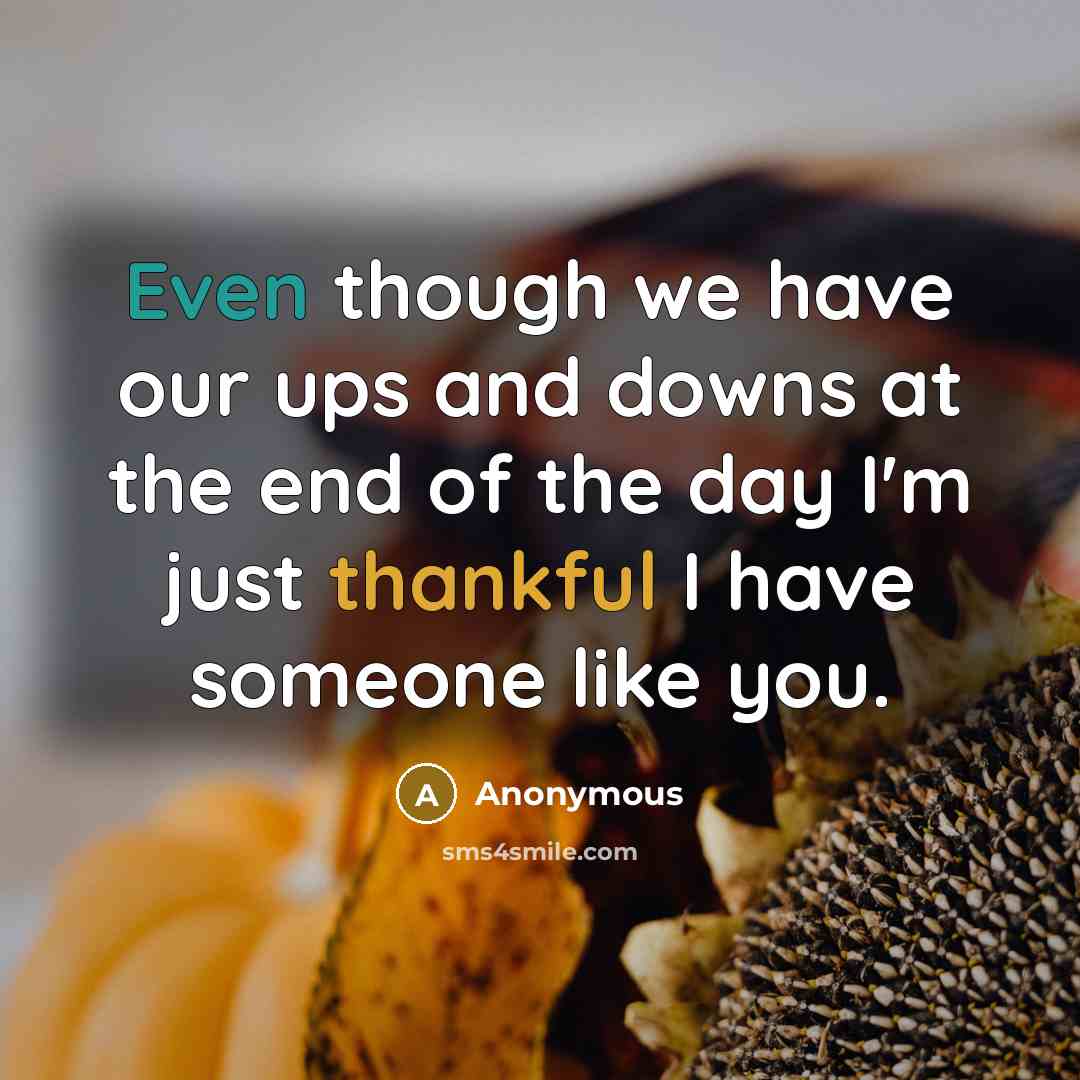 “Even though we have our ups and downs at the end of the day I'm just thankful I have someone like you.” quote by Anonymous