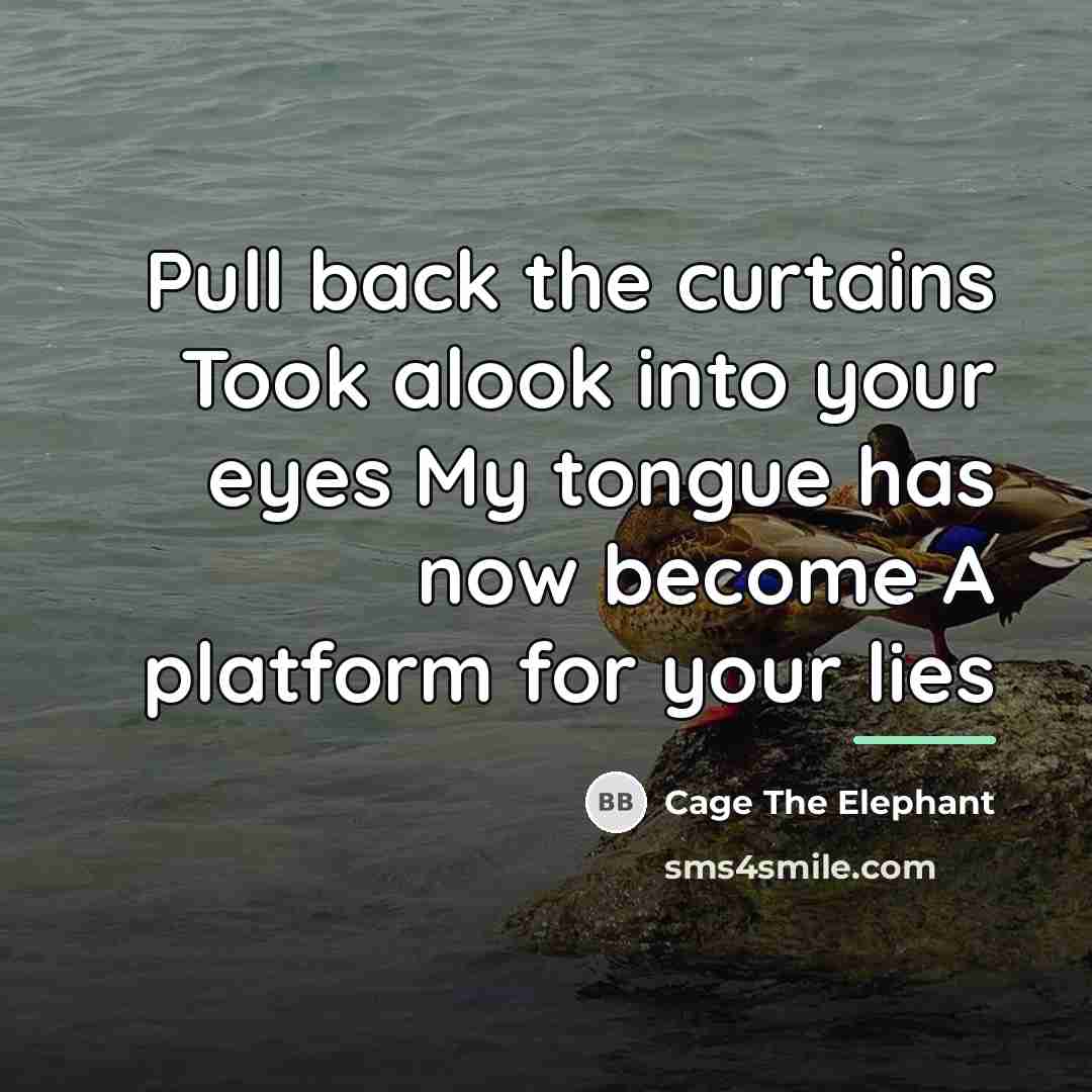 “Pull back the curtains Took alook into your eyes My…” quote by Cage The Elephant
