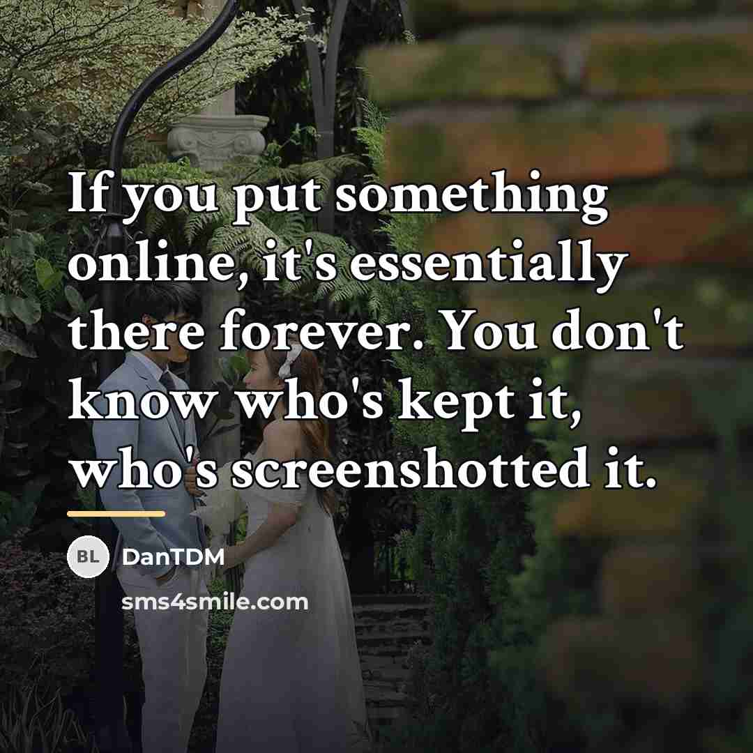 “If you put something online, it's essentially there forever. You…” quote by DanTDM