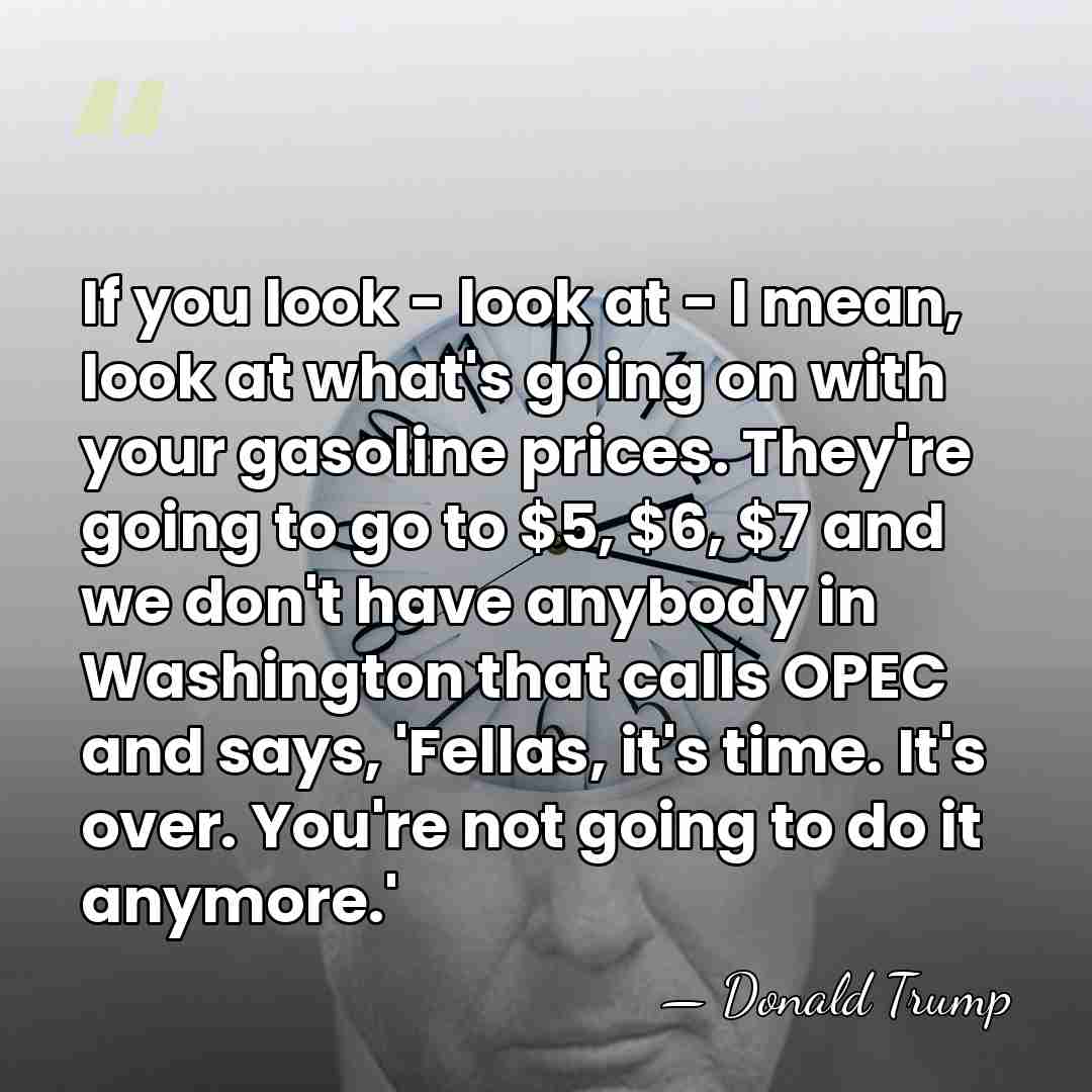 If you look - look at - I mean, look at what's&hellip; - Donald Trump