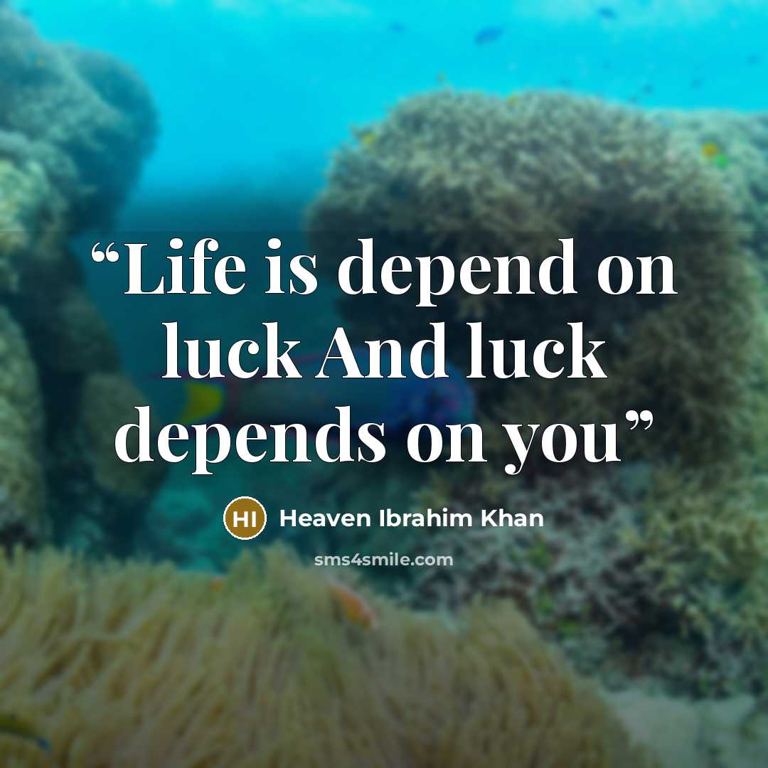 “Life is depend on luck And luck depends on you” quote by Heaven Ibrahim Khan