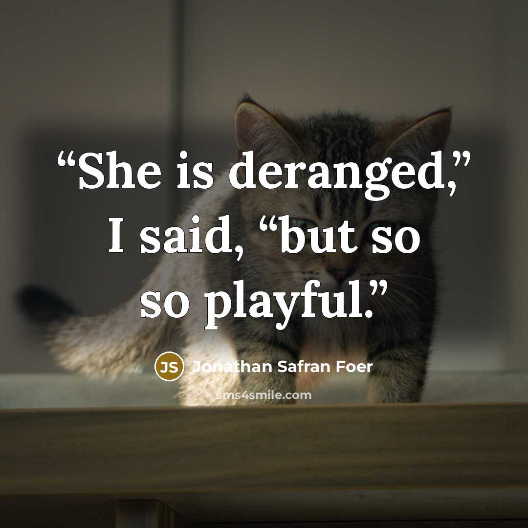 “She is deranged,” I said, “but so so playful.” quote by Jonathan Safran Foer