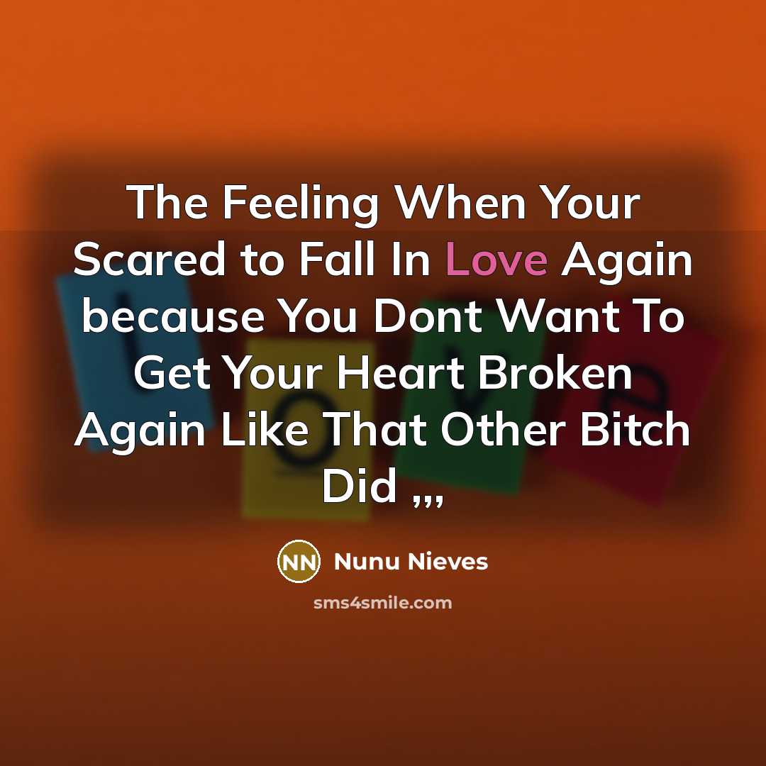 “The Feeling When Your Scared to Fall In Love Again…” quote by Nunu Nieves