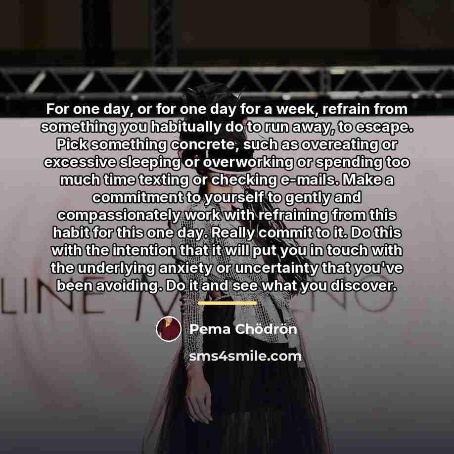 “For one day, or for one day for a week,…” quote by Pema Chodron
