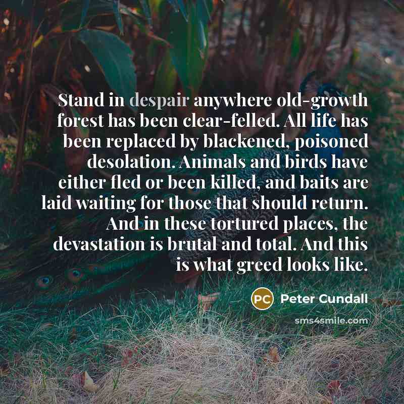 “Stand in despair anywhere old-growth forest has been clear-felled. All…” quote by Peter Cundall