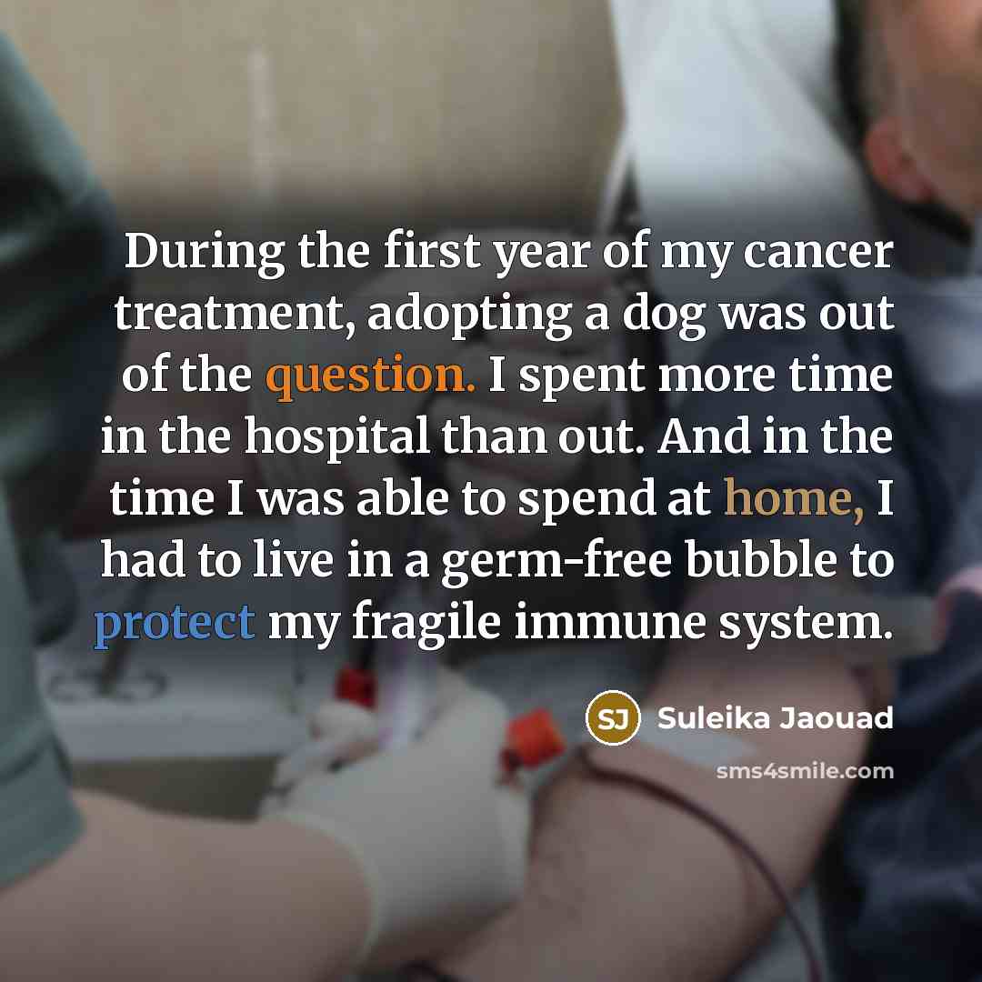 “During the first year of my cancer treatment, adopting a dog was out of the question. I spent more time in the hospital than out. And in the time I was able to spend at home, I had to live in a germ-free bubble to protect my fragile immune system.” quote by Suleika Jaouad