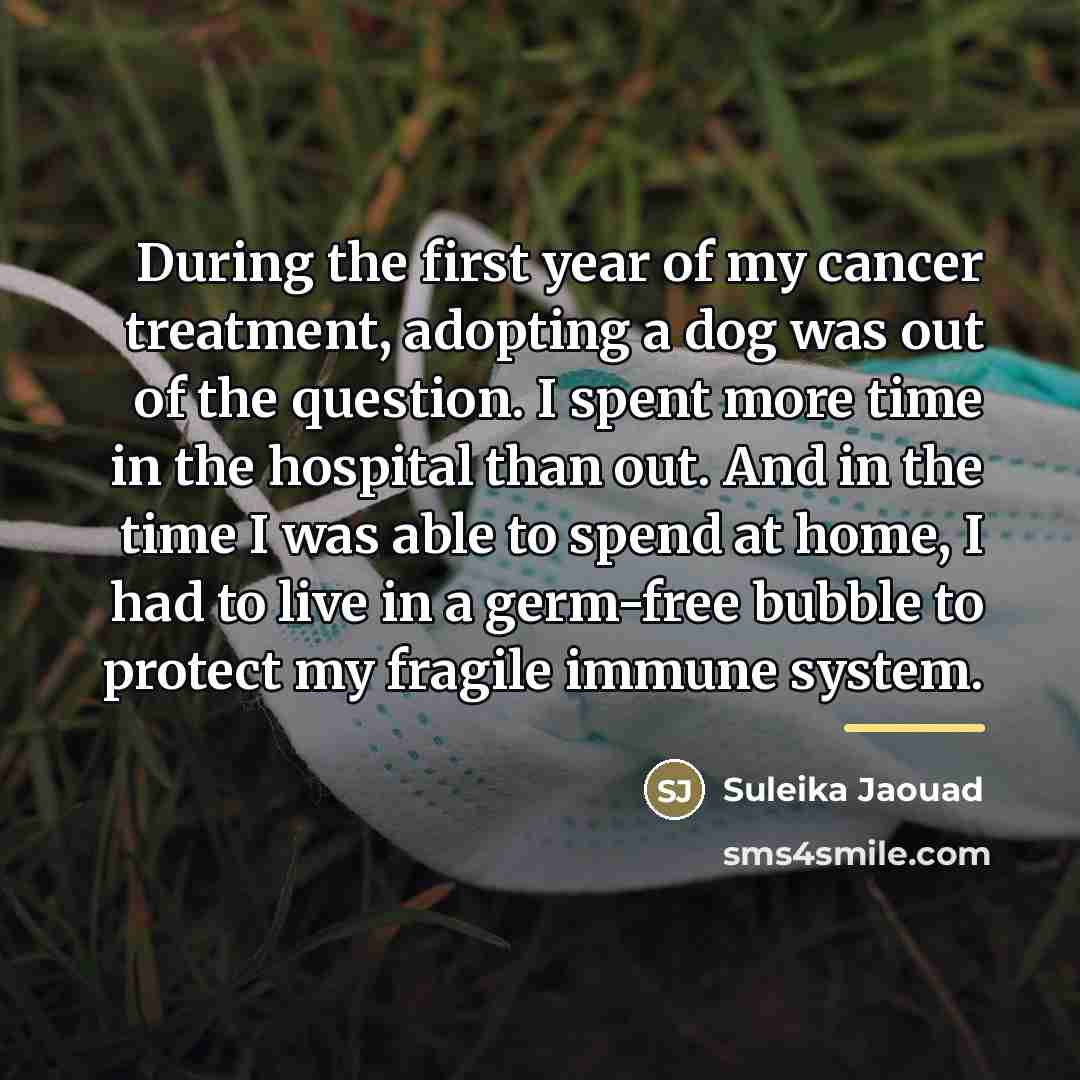 “During the first year of my cancer treatment, adopting a…” quote by Suleika Jaouad