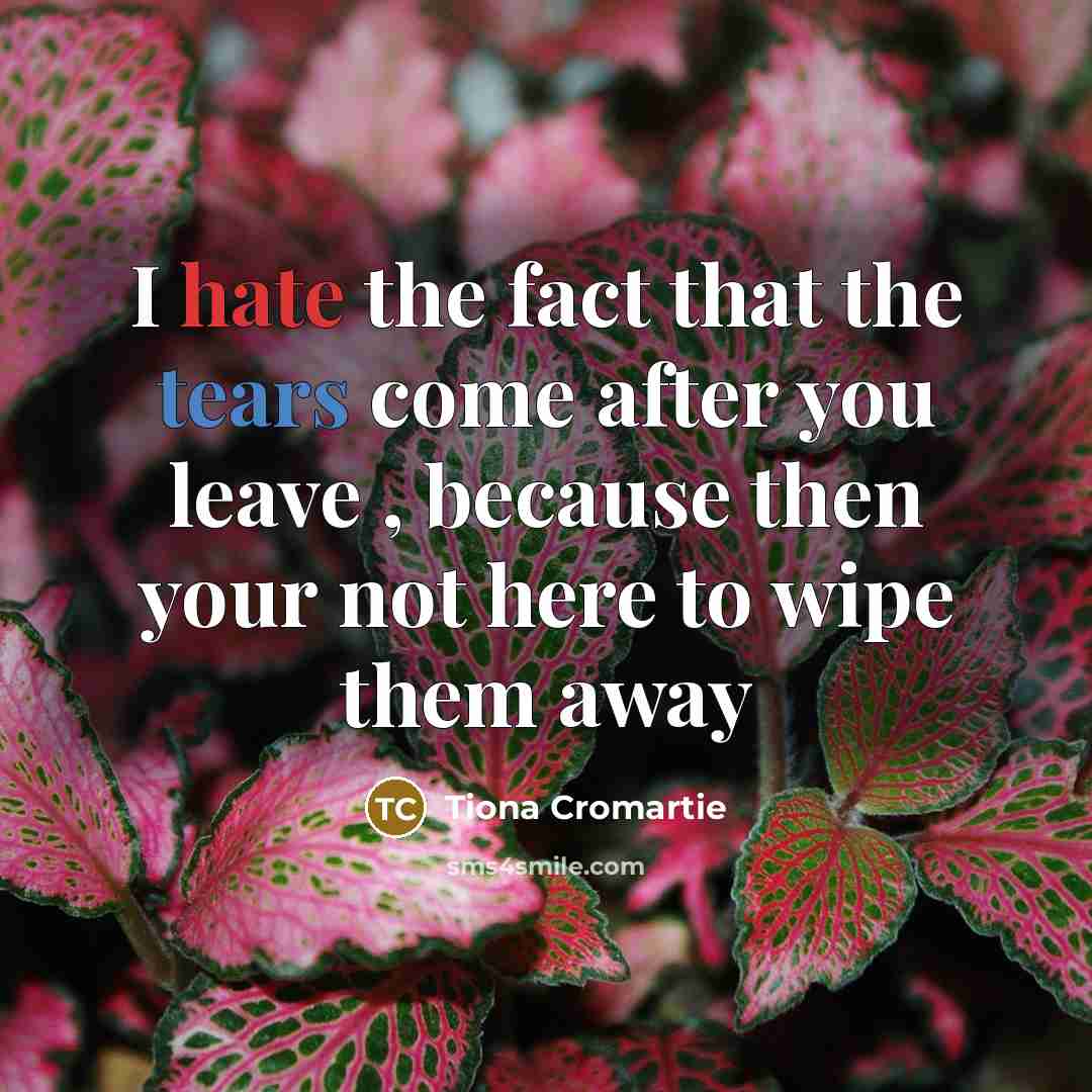 “I hate the fact that the tears come after you leave , because then your not here to wipe them away” quote by Tiona Cromartie