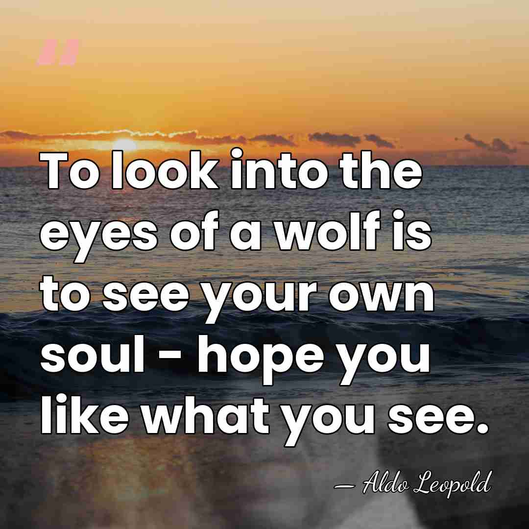 To look into the eyes of a wolf is to see your&hellip; - Aldo Leopold