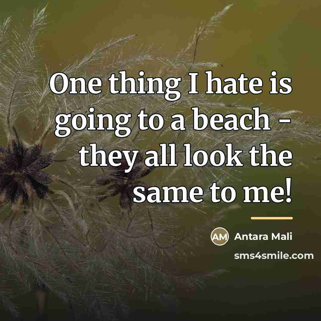 “One thing I hate is going to a beach -…” quote by Antara Mali