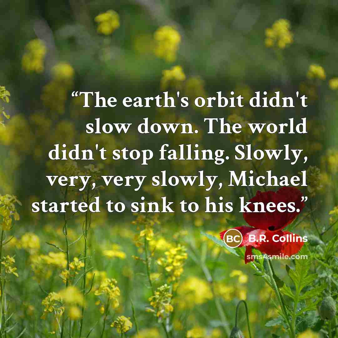 “The earth's orbit didn't slow down. The world didn't stop falling. Slowly, very, very slowly, Michael started to sink to his knees.” quote by B.R. Collins